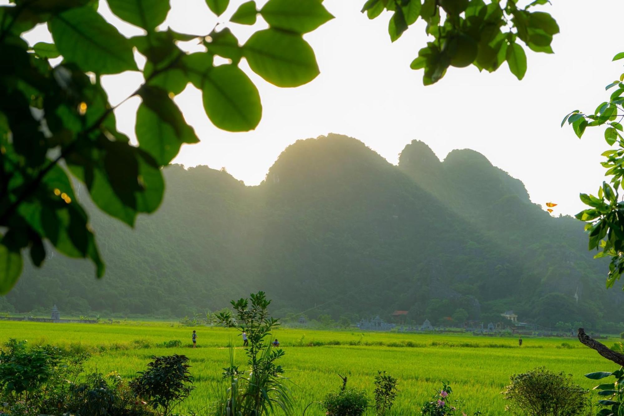 Tam Coc Minh Hung Homestay Ниньбинь Экстерьер фото