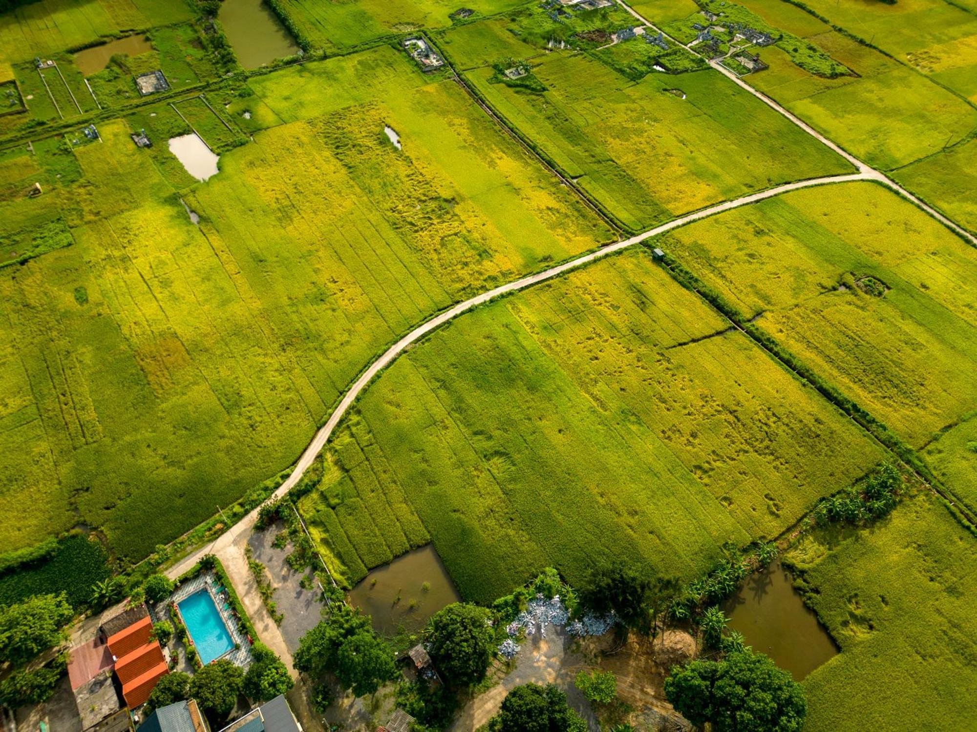 Tam Coc Minh Hung Homestay Ниньбинь Экстерьер фото